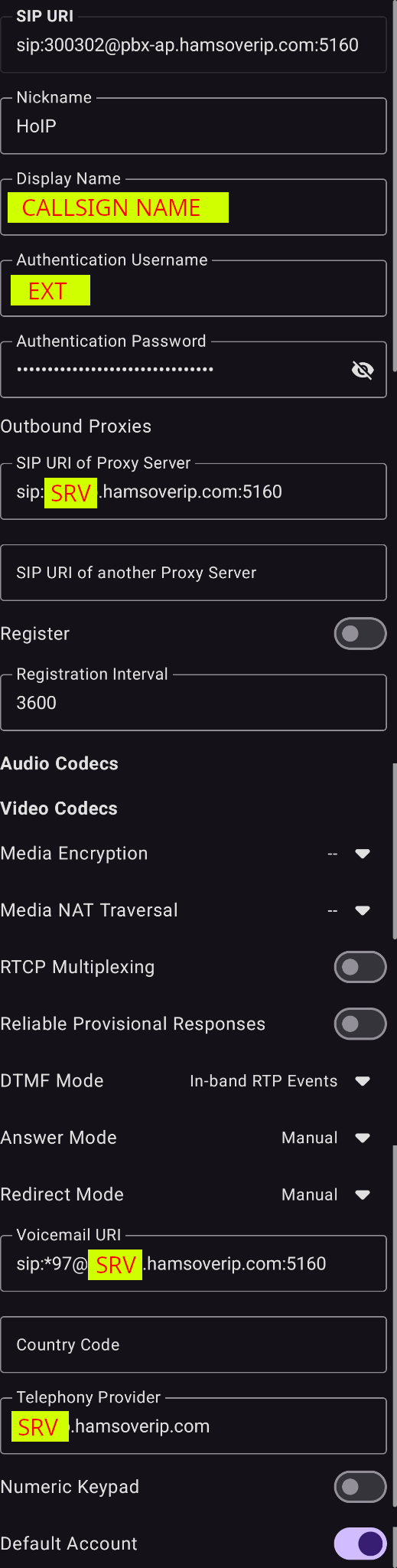 Screenshot of the HoIP Account details of baresip